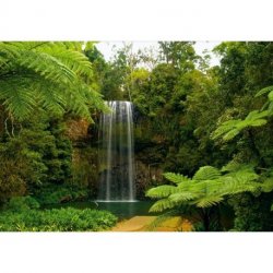 Cascada de la Selva Perdida