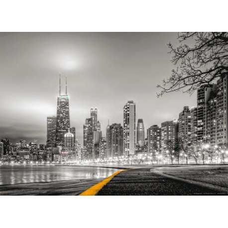 Noche de Chicago en Blanco y Negro