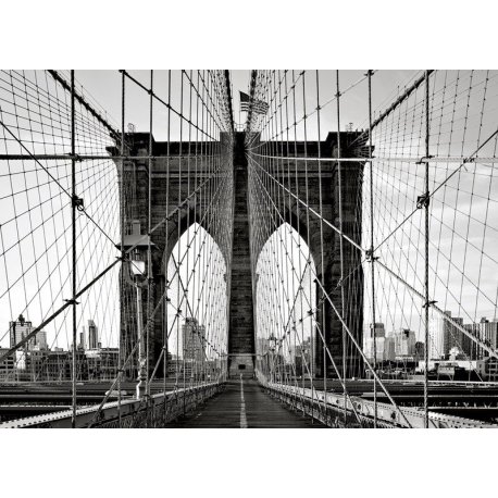 Paseo por el Puente de Brooklyn