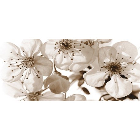 Delicadas Flores en Blanco