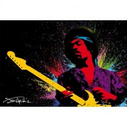 Hendrix Pasión a Todo Color