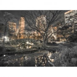 Central Park sobre New York Iluminada