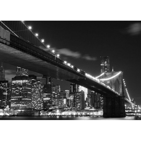 Luces en Blanco y Negro Puente de Brooklyn