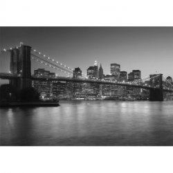 Puente de Brooklyn Blanco y Negro