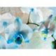 Suave Orquídea Blanca y Azul