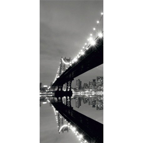 Bajo el Puente Iluminado en Blanco y Negro