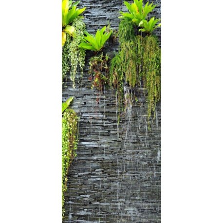 Pared Pizarra con Plantas