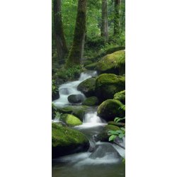 El Descenso del Río por las Piedras