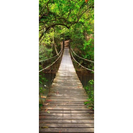 Puente Colgante sobre el Río