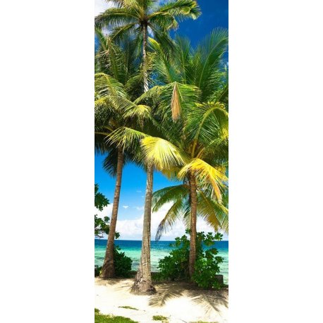 Palmeras en la Playa del Caribe