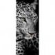 Rostro de Leopardo en Blanco y Negro