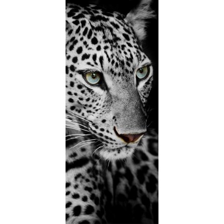 Rostro de Leopardo en Blanco y Negro