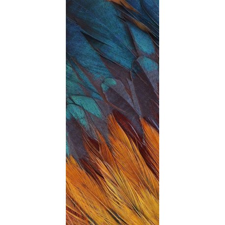 Plumas Azul y Naranja