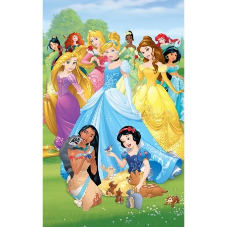 Todas las Princesas Disney Juntas