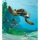 Viaje en Tortuga de Nemo y Dory