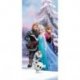 Frozen Elsa Anna Olaf y Kristoff