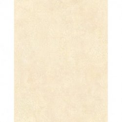 1004-7
