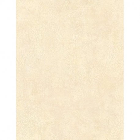1004-7